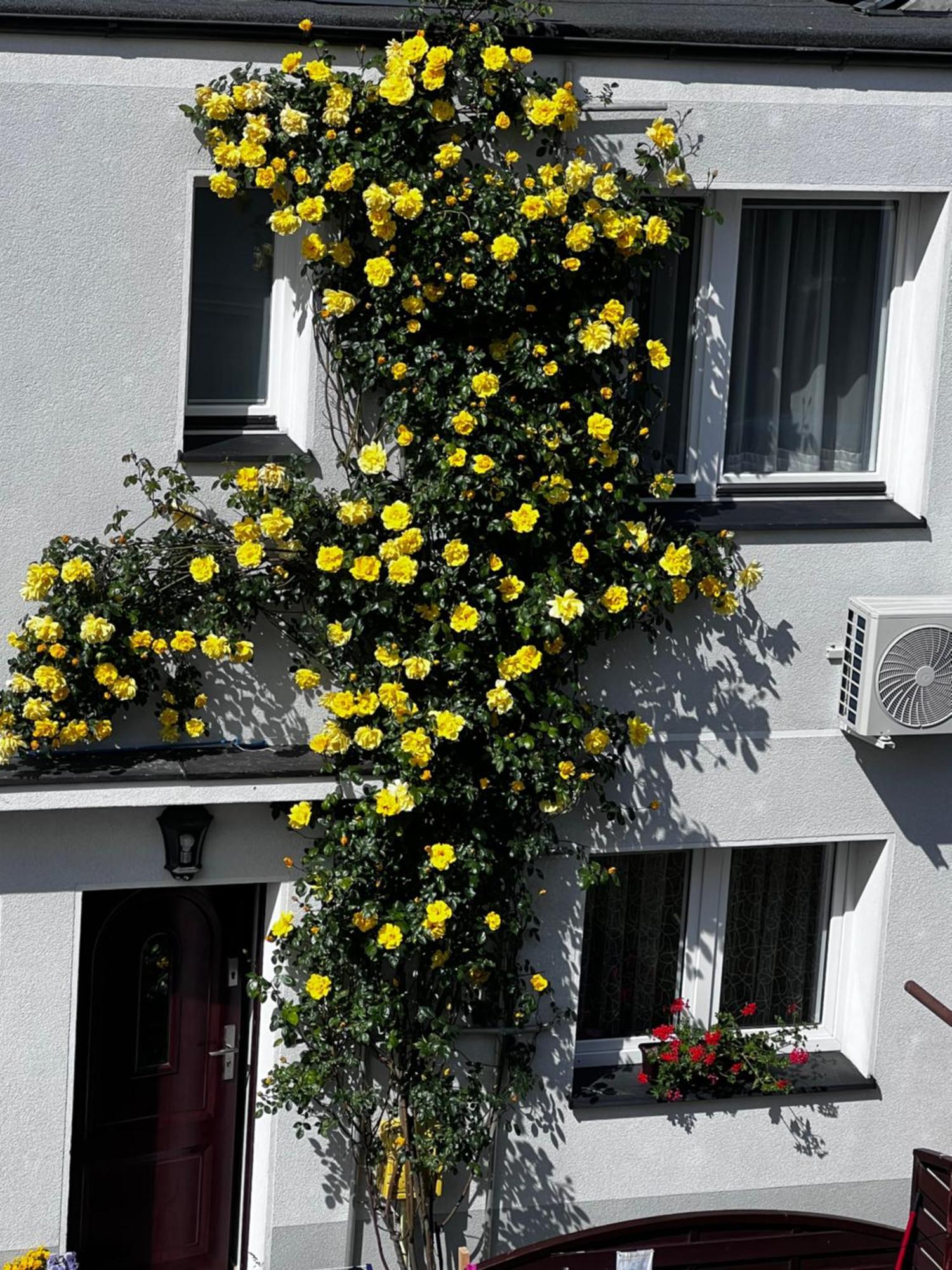 Szyper Apartment Jastarnia Exterior photo
